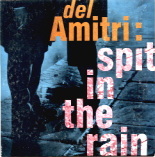 Del Amitri - Spit In The Rain